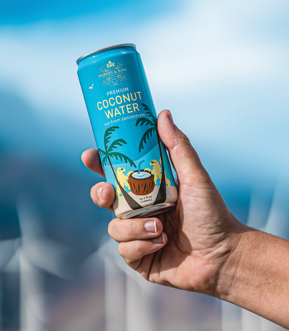 Harney & Sons Premium Coconut Water